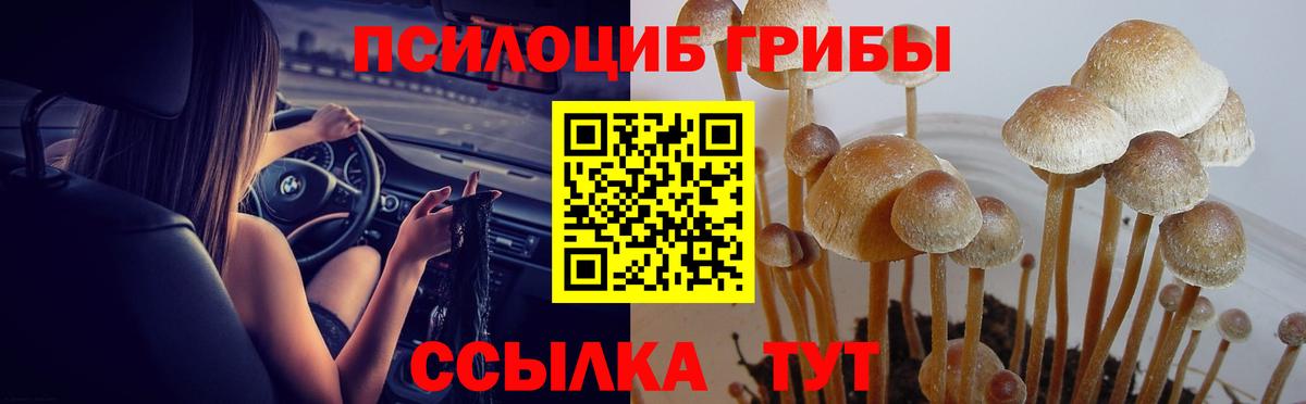 Галлюциногенные грибы GOLDEN TEACHER  Псилоцибиновые грибы мухоморы  наркота  Вход с VPN  Урюпинск 